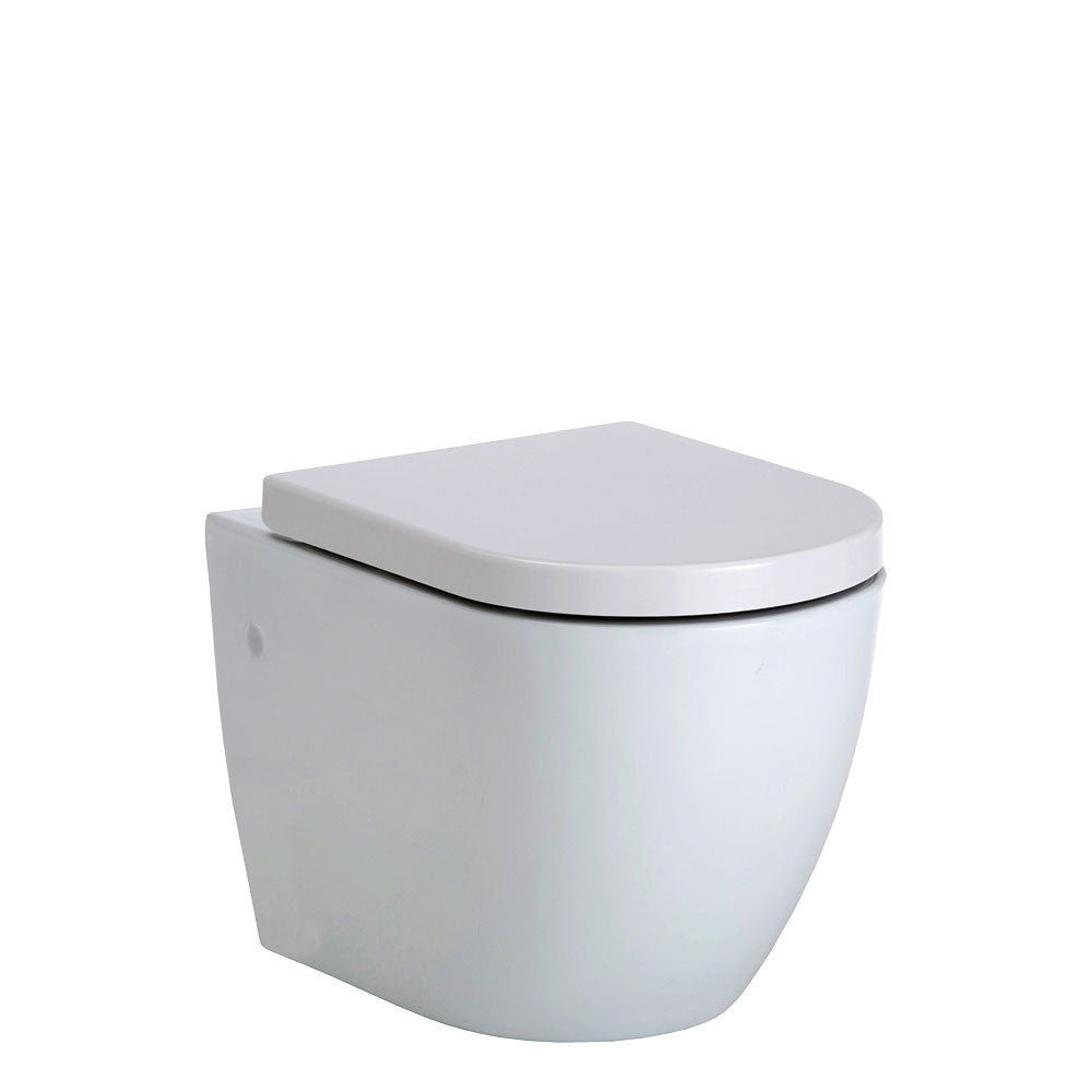 Type: Wall-Hung Toilets