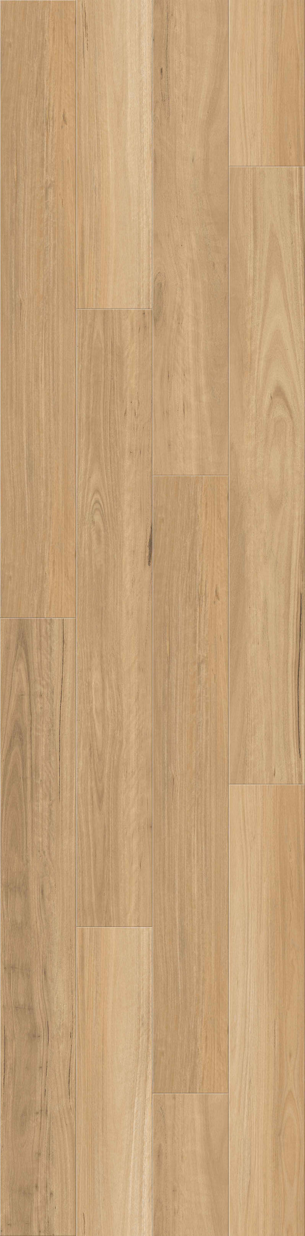 1820x225x9.7mm/0.7mm PUGLIA Costa Blackbutt Timber Floor Hybrid [1.638m2]