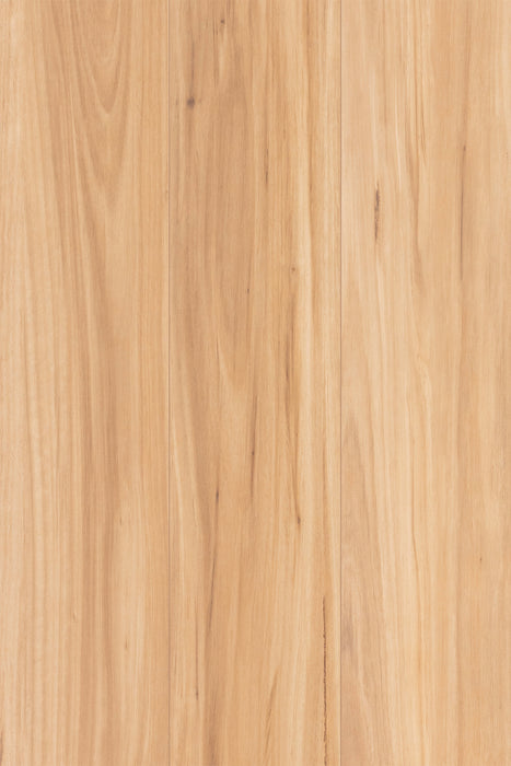 2200x193x12mm FIRENZE Blackbutt [1.698m2]