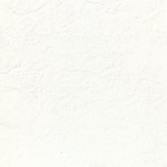 600x600 Rendered White Matt Porcelain Tile R9 [1.44m2]