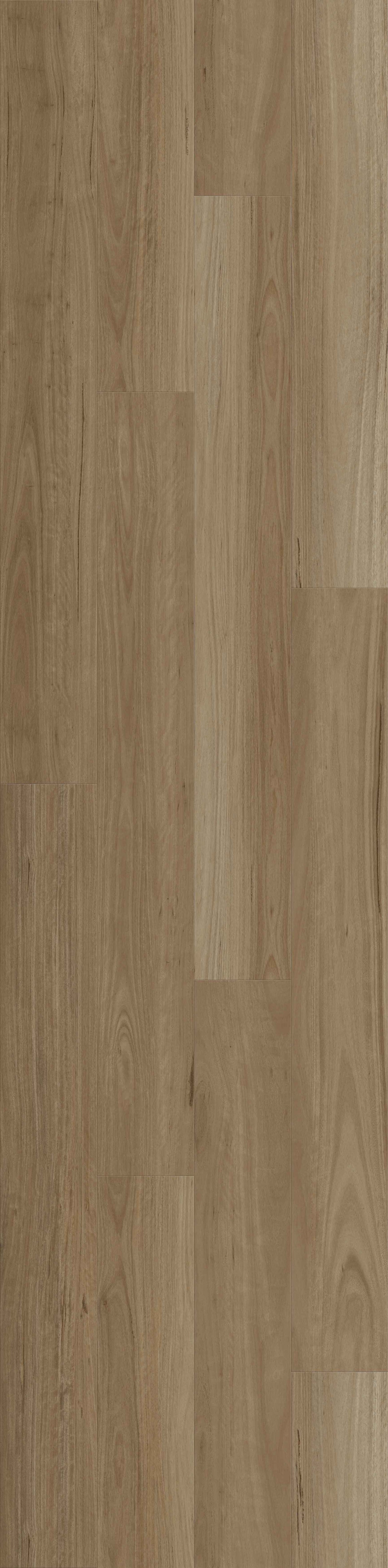 Timber Floors
