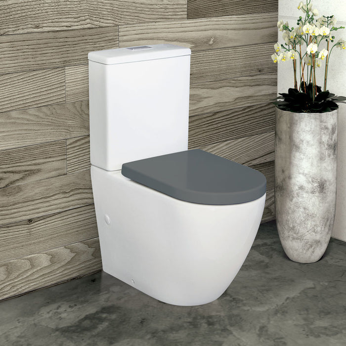 Fienza Alix Back-To-Wall S-Trap 90-160 Toilet, Grey Seat