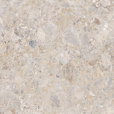 Beige Terrazzo Look Tiles